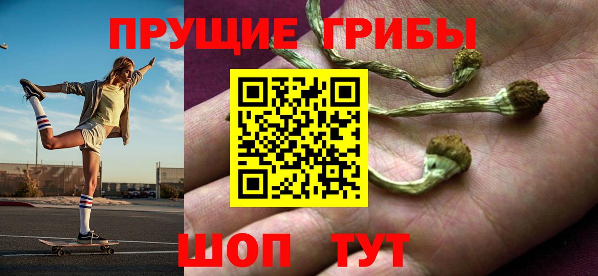 Ишим  Псилоцибиновые грибы мицелий  Вход с VPN  Псилоцибиновые грибы ЛСД 